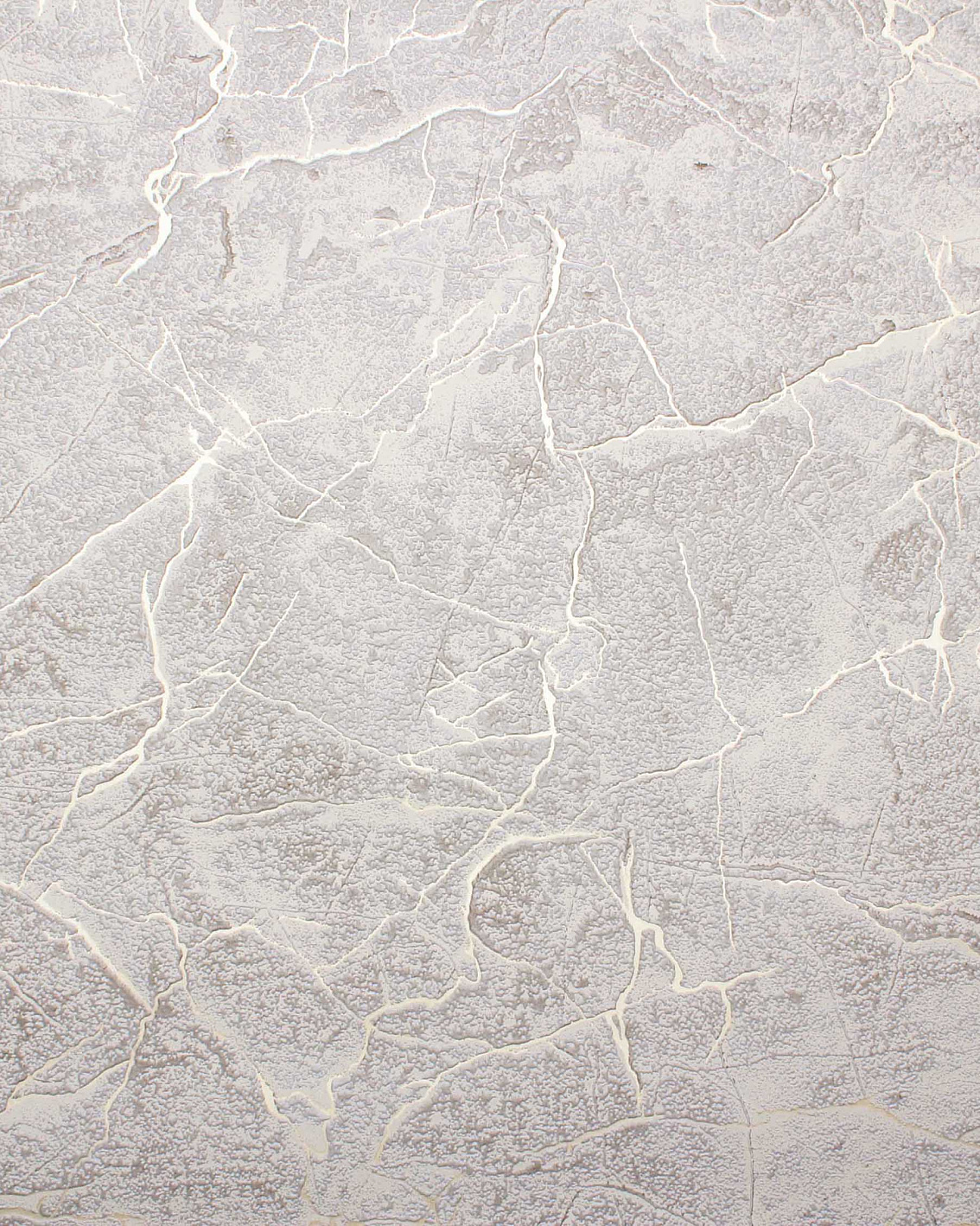 283796 Обои флизелиновые Ground, мотив серый-бежевый 1,06x10,05м