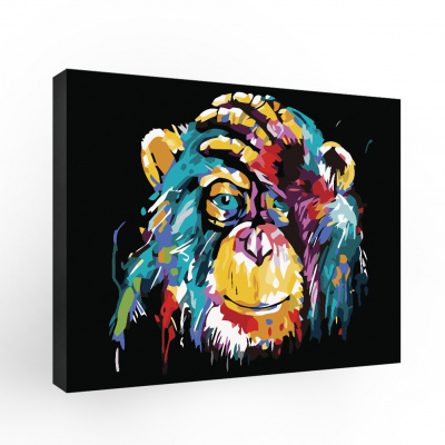 Lp13-633 Картина по номерам Дарвин 50х40 см.