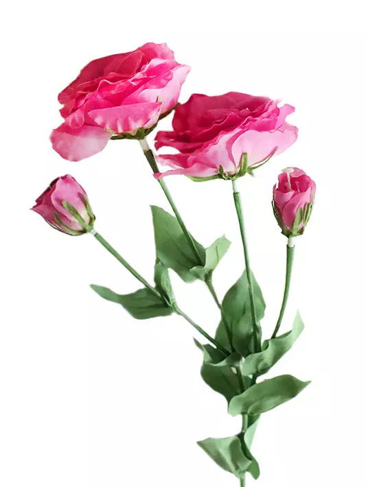 5A48DC3D-E4EF-11EE-9414-003048FBFCC9