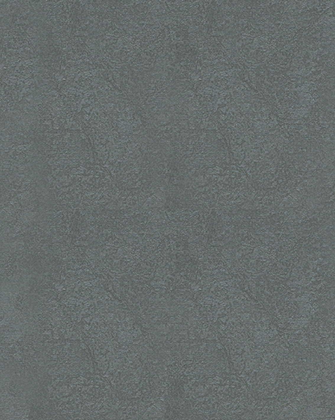 3502-4 Обои флизелиновые Feerie, фон графитовый 1,06x10,05м