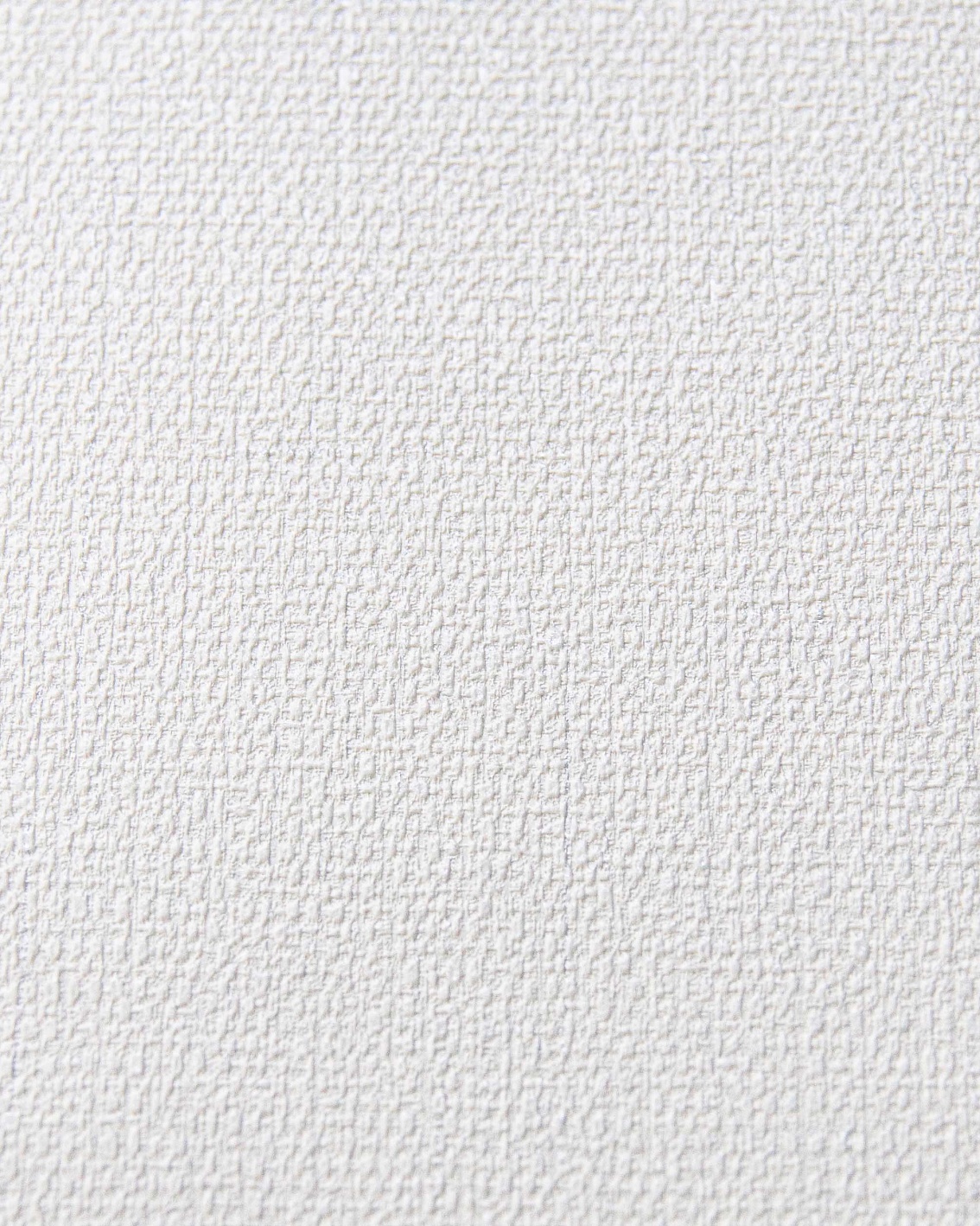 SL8910-11 Обои флизелиновые Wagasa, фон жемчужный 1,06x10,05м