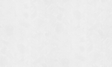 Обои флизелиновые HomeColor под покраску 1,06*25м плотность 60 г/м2. 422-01