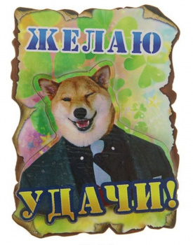 Магнит "Желаю удачи