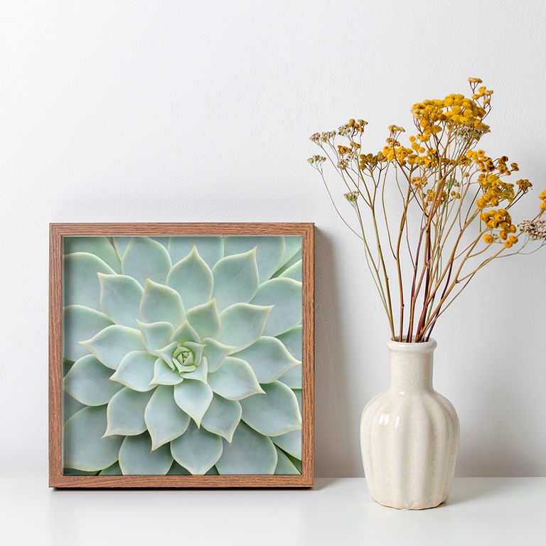 ПР-043 Постер в раме Дикий цветок, размер 350х350