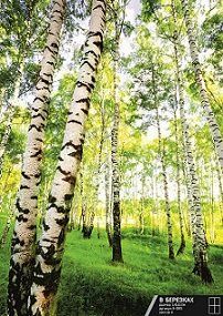 Изображение загружено