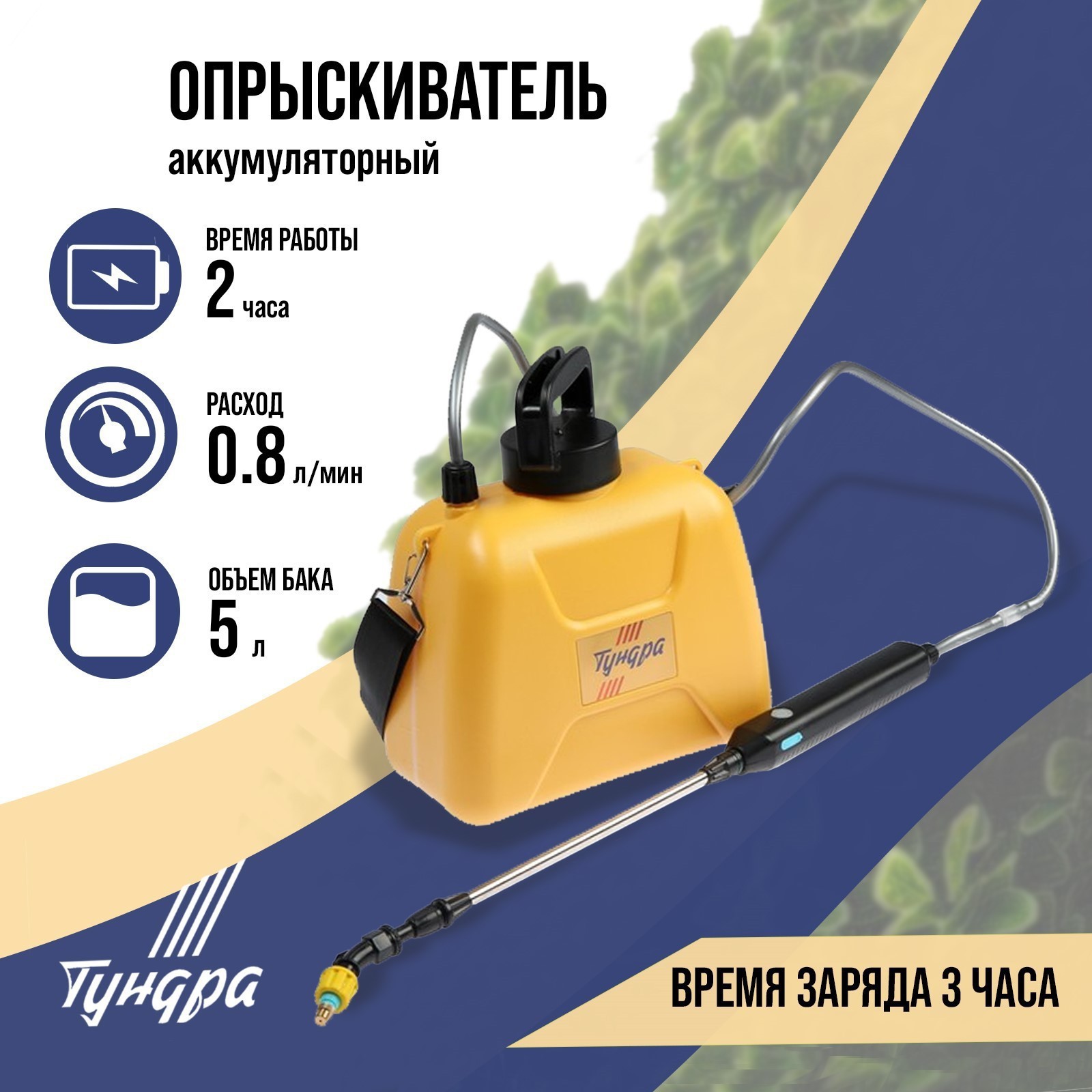 Изображение загружено