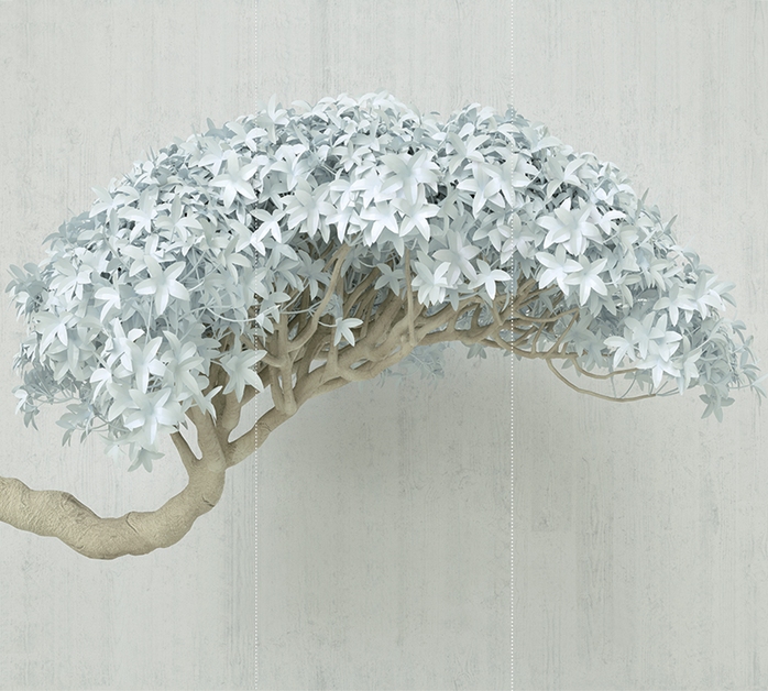 белое дерево