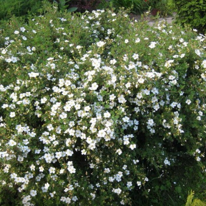 g-katalog-87-40-0029-700x700