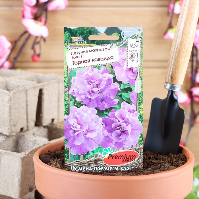 700 - 2025-03-17T110315.325