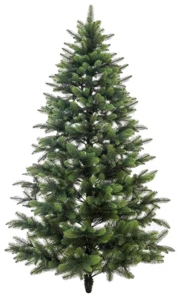 Изображение загружено