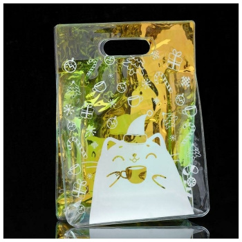 Пакет из голографического пластика «Для тебя», 18 х 24 х 6,5 см