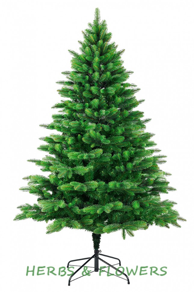 Изображение загружено