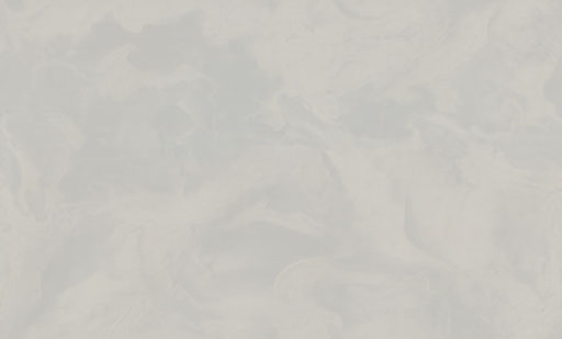 7289-11-раппорт