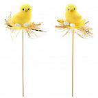 Изображение загружено