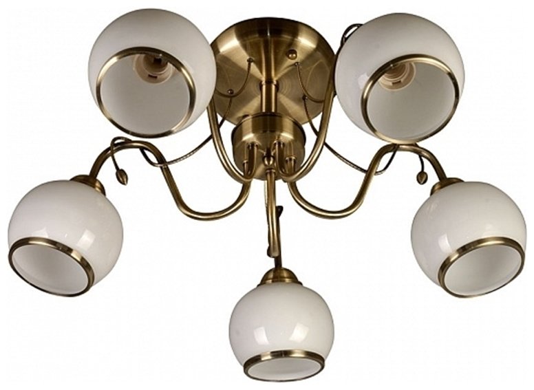 Изображение загружено