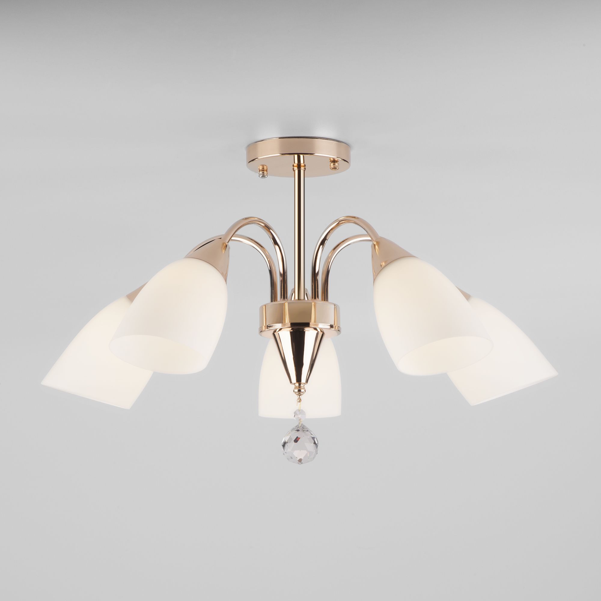 Изображение загружено