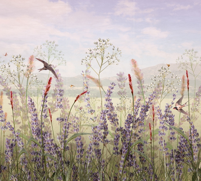 лавандовое поле