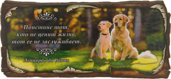 Магнит "Кто не ценит жизнь"