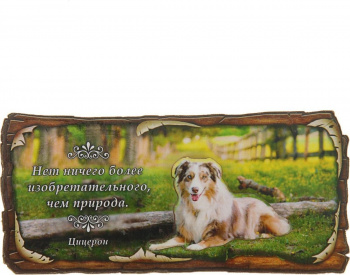 Магнит "Природа вдохновляет"