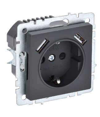 BR-R14-16-U21-D31-K53 Brite графит Розетка СП 1м+2USB с заземлением шторки 16А IEK