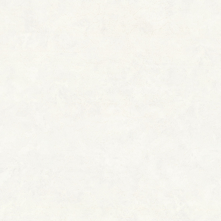 5044-00 Обои флизелиновые Pellegrina, фон белый 1,06x10,05м