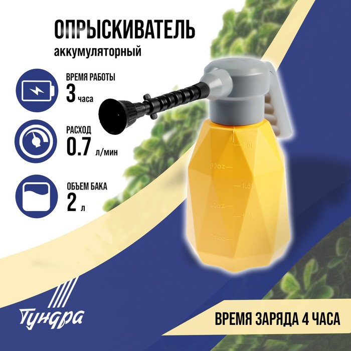 Изображение загружено