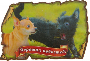 Магнит "Хороших новостей"