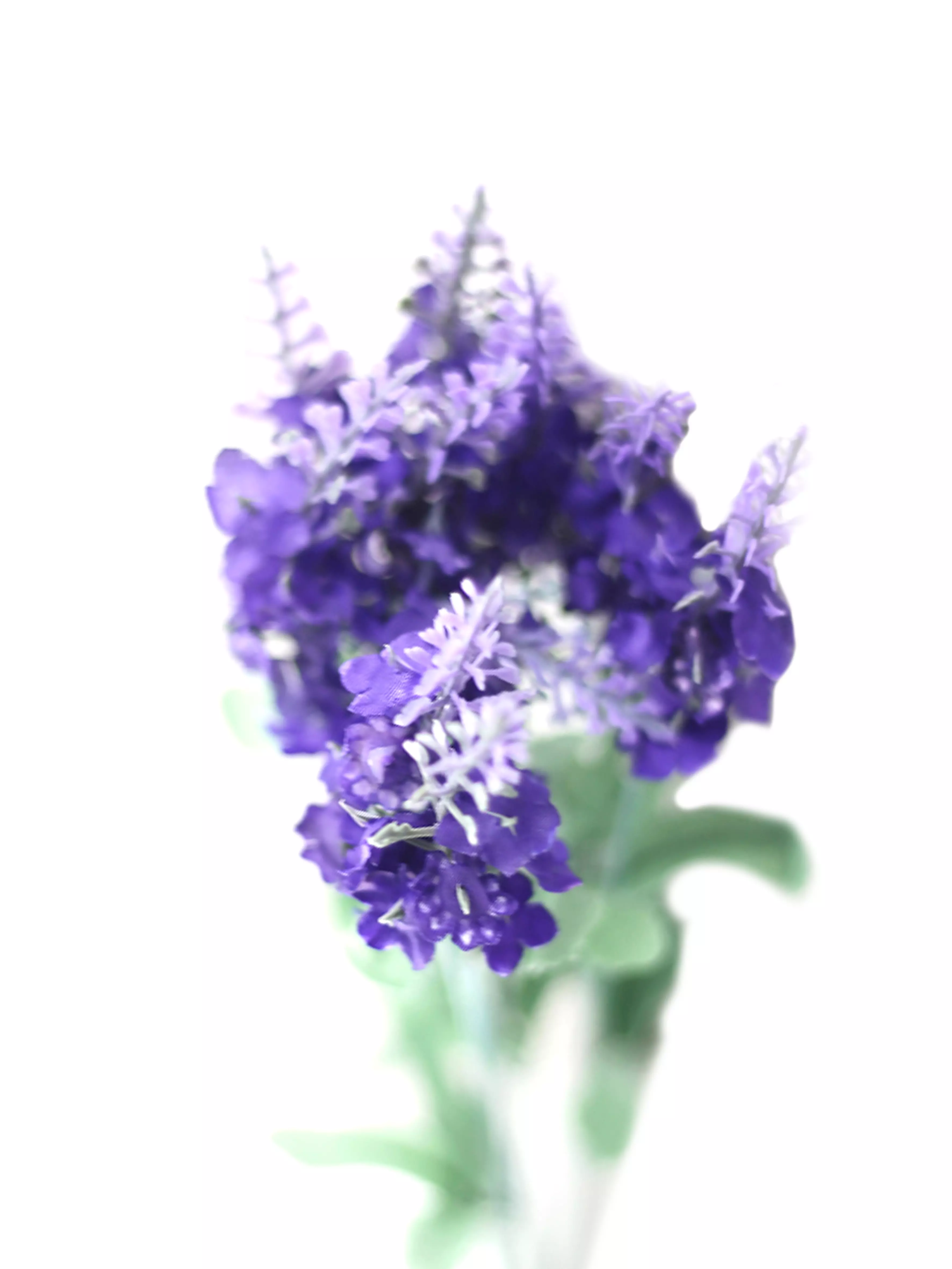 3DDDF441-E4F8-11EE-9414-003048FBFCC9