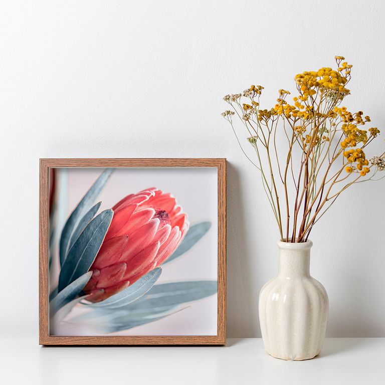 ПР-042 Постер в раме Бутон, размер 350х350