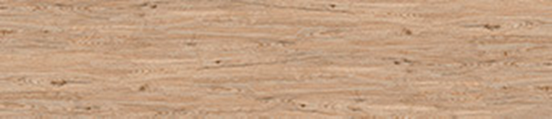 GP-00064601