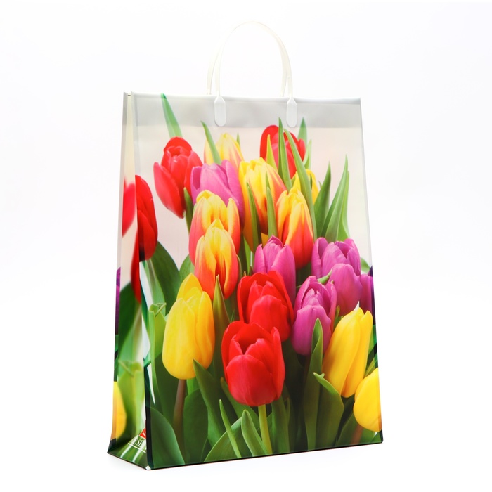 700 - 2025-02-10T162021.048