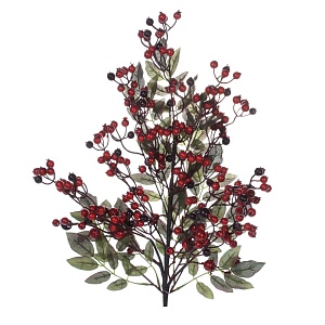 p9oia9p521131oaup5lu6tin4inbhbzq