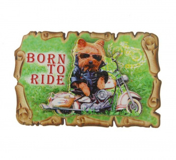 Магнит " Рожден чтобы ездить