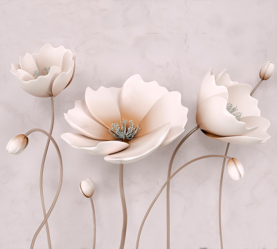 Фотообои Белые маки