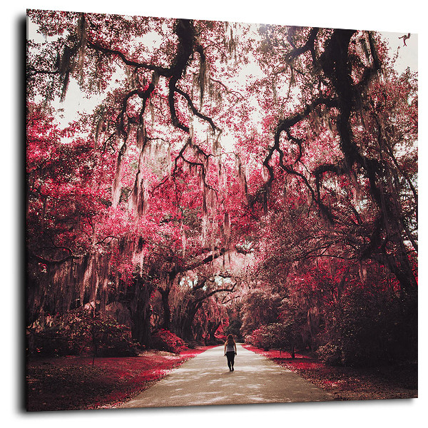 Изображение загружено