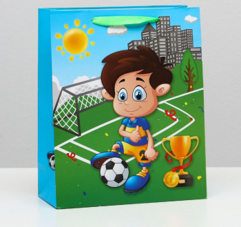 Пакет ламинированный 26x32x12 4704082