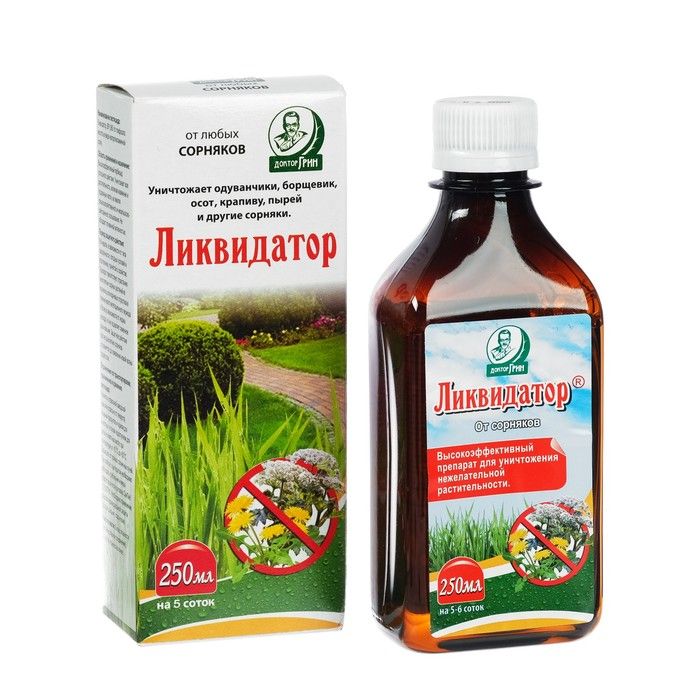 Изображение загружено