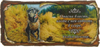 Магнит "Опасна власть"