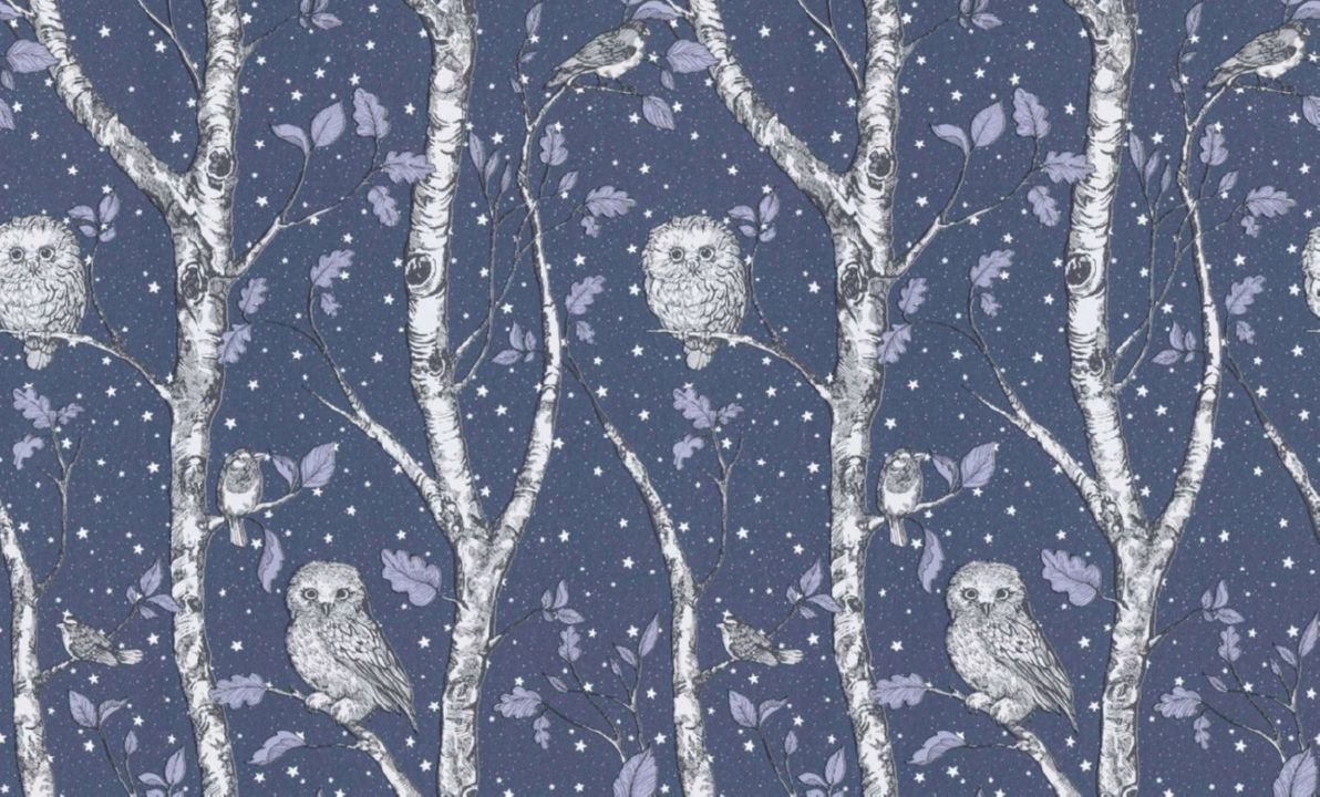 Изображение загружено