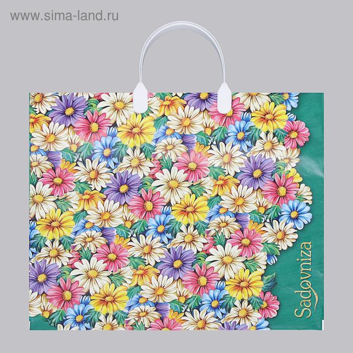 Изображение загружено