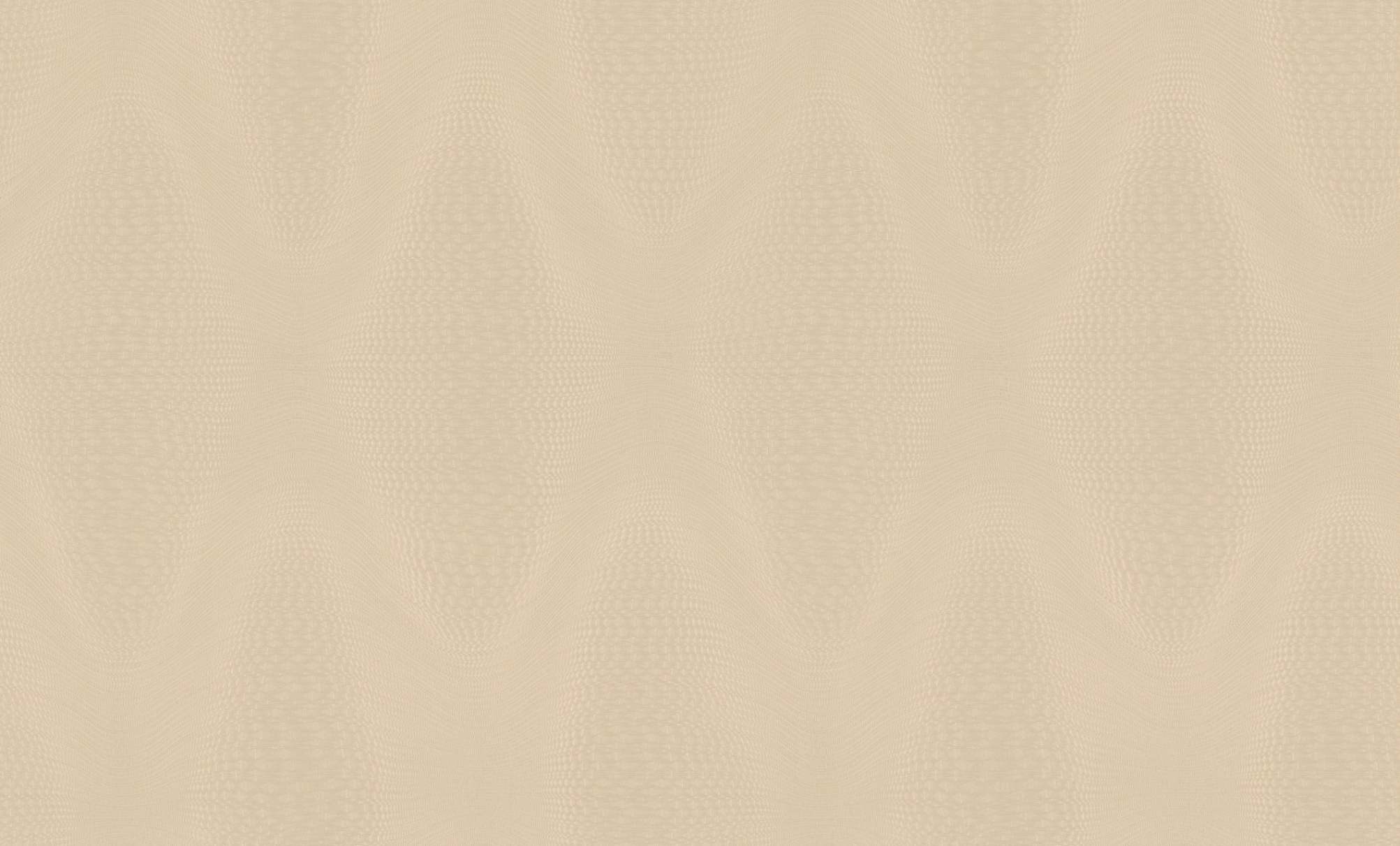 PL71553-21 Обои флизелиновые Singapore фон бежевый 1.06х10.05м