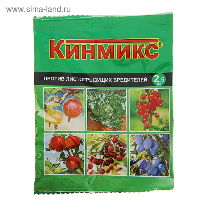 Изображение загружено