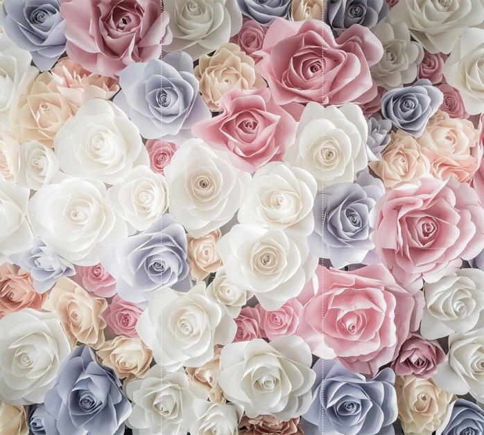 Разноцветные розы