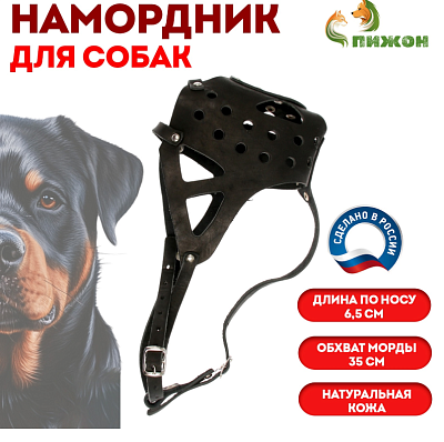 Намордник кожаный цельнокроенный д/носу 6,5см ОМ 35см ротвейлер чёрный 