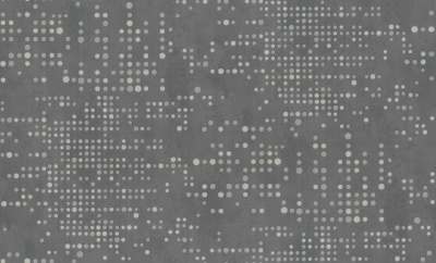 7331-23-раппорт