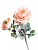 8126DBA1-E4EE-11EE-9414-003048FBFCC9