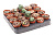B008231_0000296441_H_1