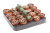 B008231_0000296441_H_1