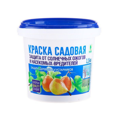 Изображение загружено