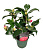 B009161_0000335753_V_1